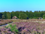 Nieuwbouw Heerde Bovenkamp III Header Klompenpad 022026 2048X1536